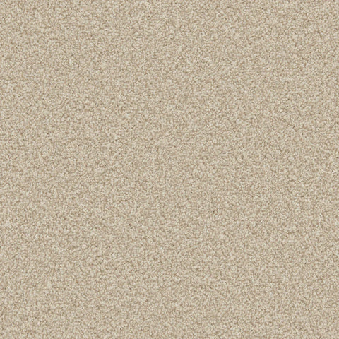 Apollo Plus Shortbread Carpet - Shortbread / 4m
