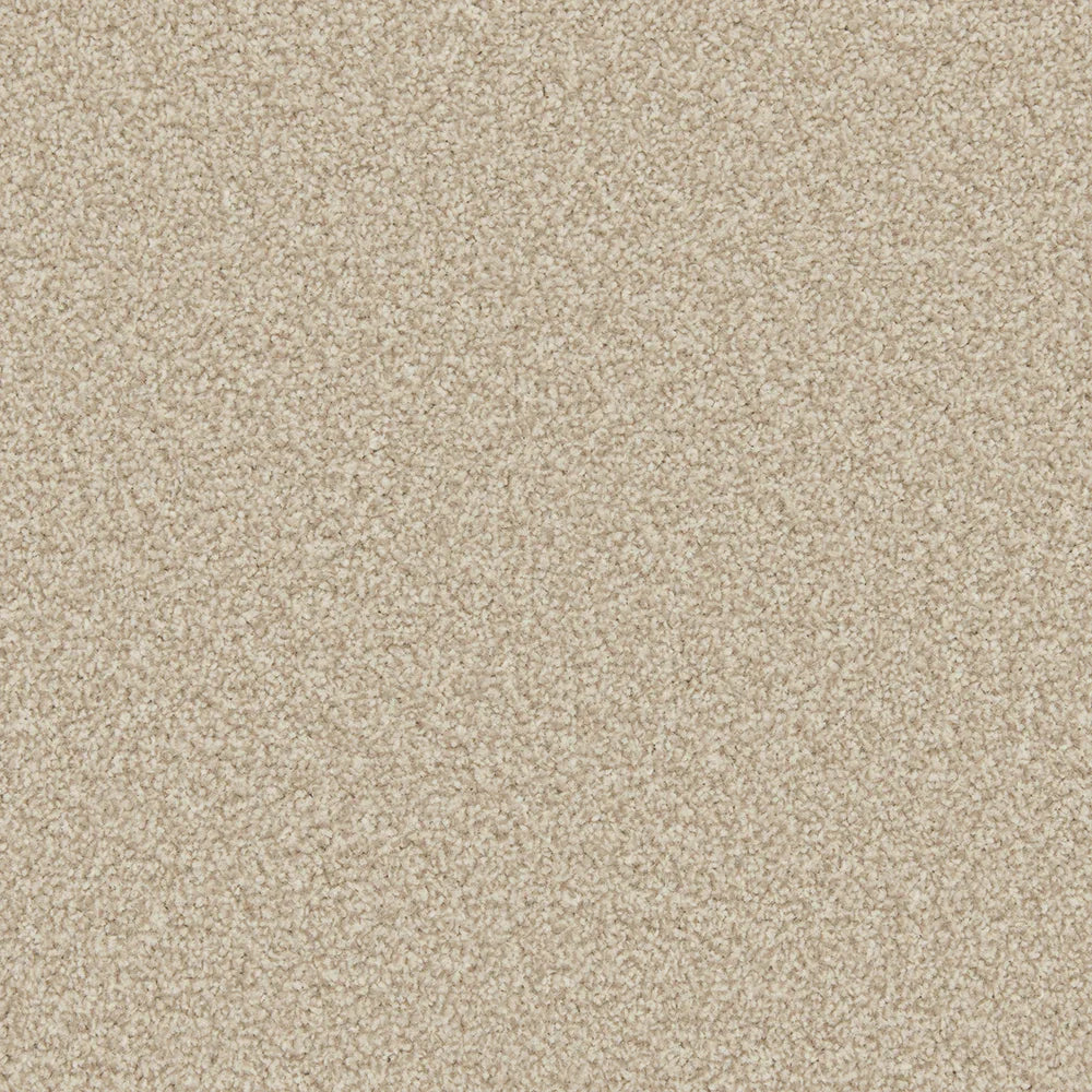 Apollo Plus Shortbread Carpet - Shortbread / 4m