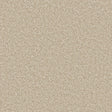 Apollo Plus Shortbread Carpet - Shortbread / 4m
