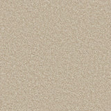 Apollo Plus Shortbread Carpet - Shortbread / 4m
