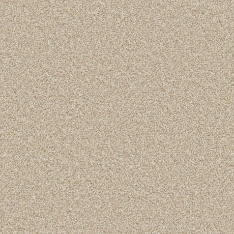 Apollo Plus Shortbread Carpet - Shortbread / 4m