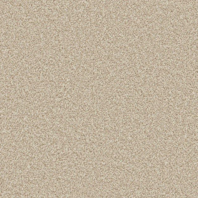 Apollo Plus Shortbread Carpet - Shortbread / 4m