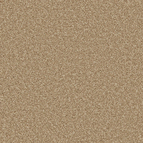 Apollo Plus Stepping Stone Carpet - Stepping Stone / 4m