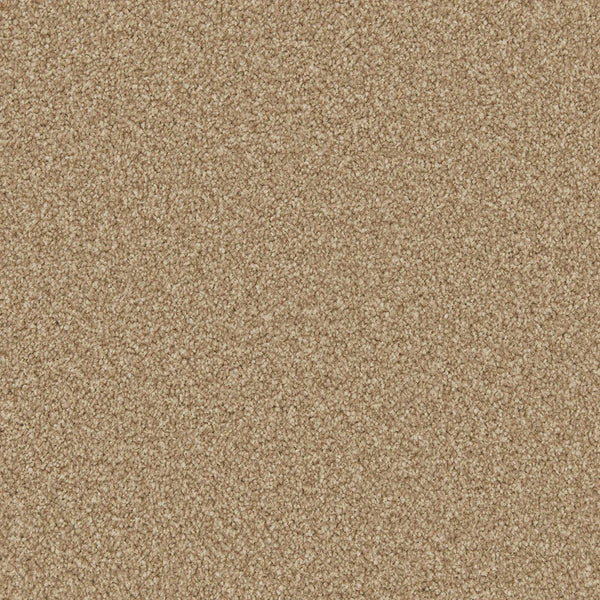 Apollo Plus Stepping Stone Carpet - Stepping Stone / 4m