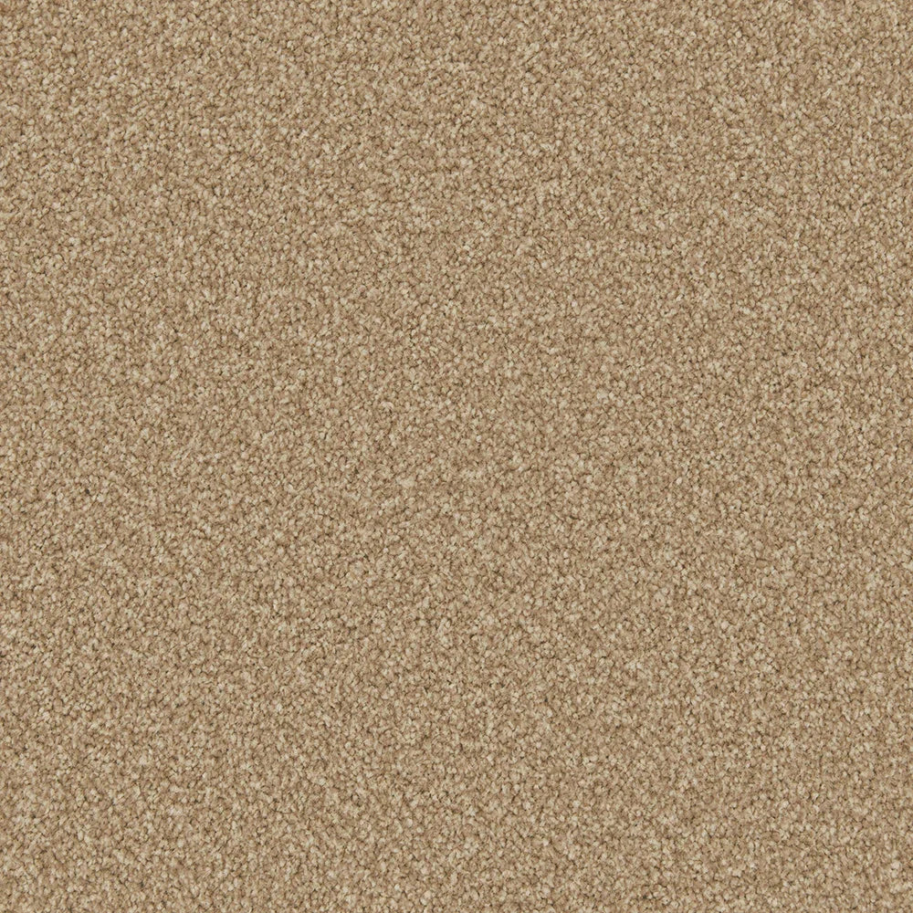 Apollo Plus Stepping Stone Carpet - Stepping Stone / 4m
