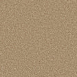 Apollo Plus Stepping Stone Carpet - Stepping Stone / 4m