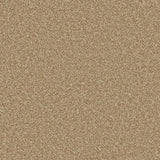 Apollo Plus Stepping Stone Carpet - Stepping Stone / 4m