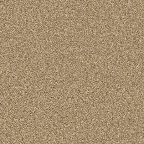 Apollo Plus Stepping Stone Carpet - Stepping Stone / 4m