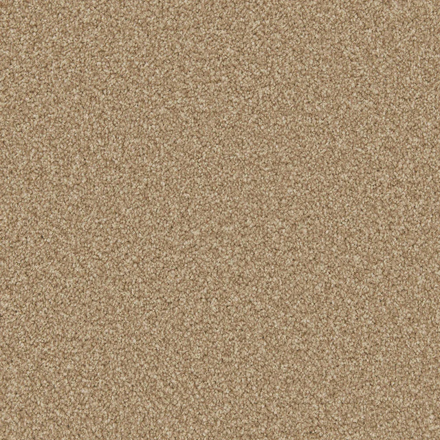 Apollo Plus Stepping Stone Carpet - Stepping Stone / 4m