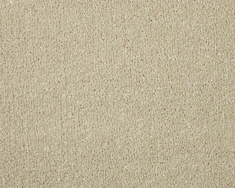 Apollo Elite Pale Angora Carpet - Pale Angora / 4m