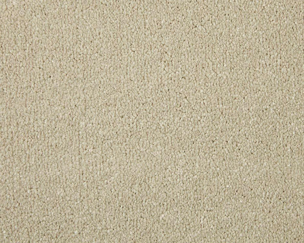 Apollo Elite Pale Angora Carpet - Pale Angora / 4m
