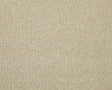 Apollo Elite Pale Angora Carpet - Pale Angora / 4m