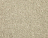 Apollo Elite Pale Angora Carpet - Pale Angora / 4m