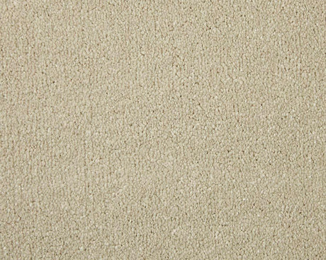 Apollo Elite Pale Angora Carpet - Pale Angora / 4m