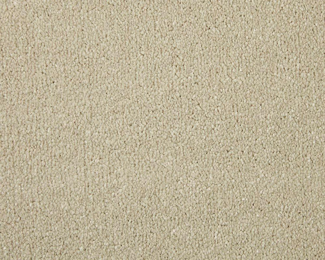 Apollo Elite Pale Angora Carpet - Pale Angora / 4m