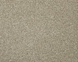 Apollo Elite Pretzel Carpet - Pretzel / 4m