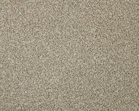 Apollo Elite Pretzel Carpet - Pretzel / 4m