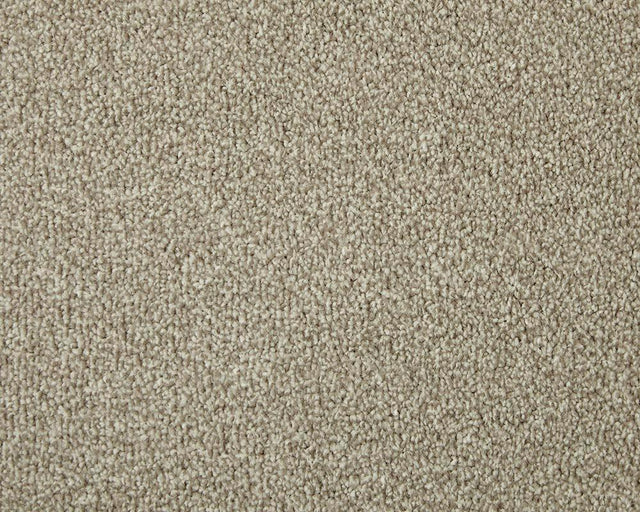 Apollo Elite Pretzel Carpet - Pretzel / 4m