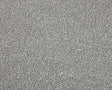 Apollo Elite Dolomite Stone Carpet - Dolomite Stone / 4m
