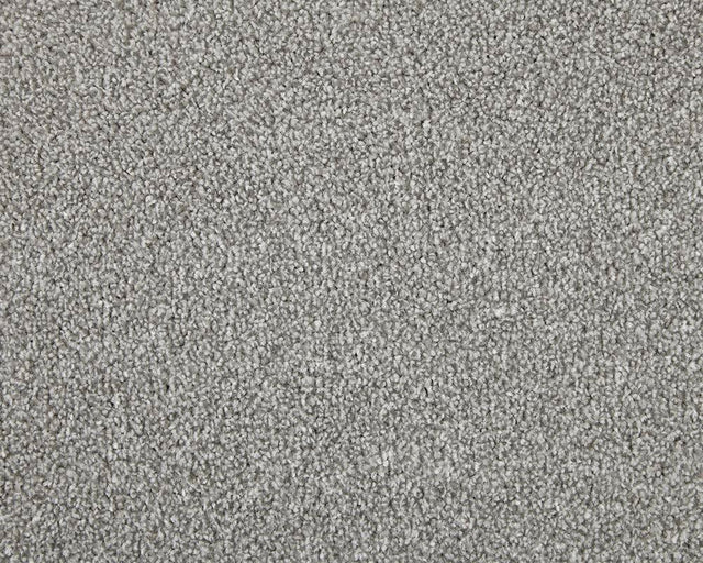 Apollo Elite Dolomite Stone Carpet - Dolomite Stone / 4m