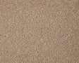 Warm beige textured carpet with dense looped pile | Home Centre Direct UK
