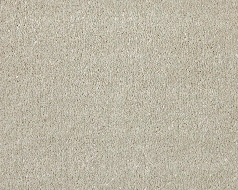 Apollo Elite Cadet Grey Carpet - Cadet Grey / 4m