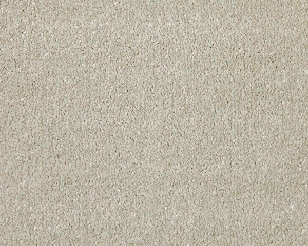 Apollo Elite Cadet Grey Carpet - Cadet Grey / 4m