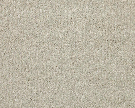 Apollo Elite Cadet Grey Carpet - Cadet Grey / 4m