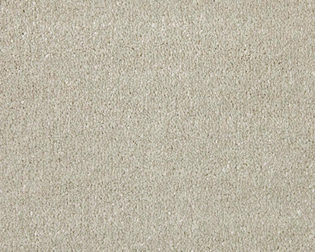 Apollo Elite Cadet Grey Carpet - Cadet Grey / 4m