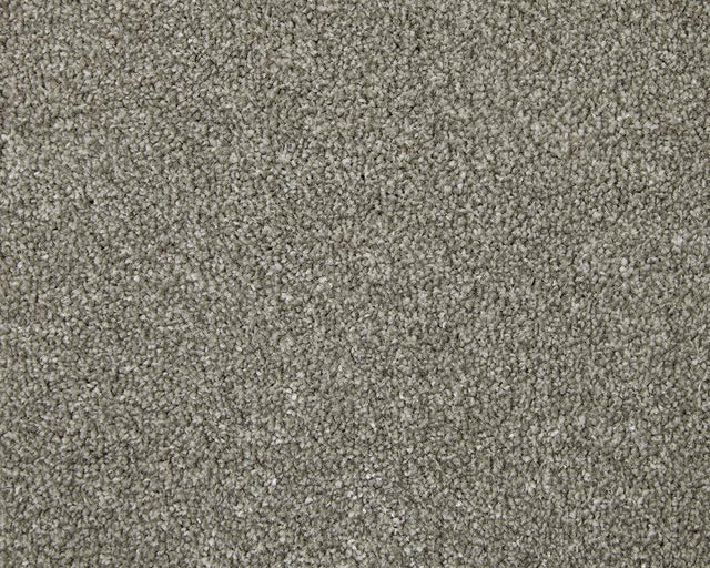 Apollo Elite Coniston Slate Carpet - Coniston Slate / 4m