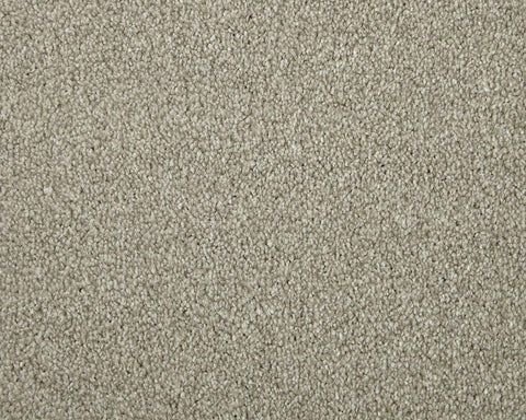Apollo Elite Peanut Carpet - Peanut / 4m
