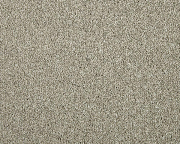 Apollo Elite Peanut Carpet - Peanut / 4m