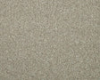 Apollo Elite Peanut Carpet - Peanut / 4m