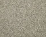 Apollo Elite Peanut Carpet - Peanut / 4m