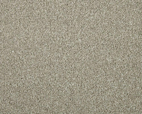 Apollo Elite Peanut Carpet - Peanut / 4m