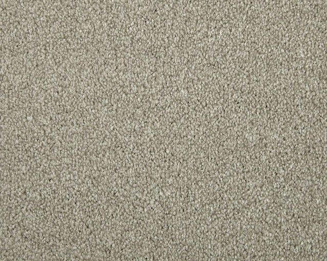 Apollo Elite Peanut Carpet - Peanut / 4m
