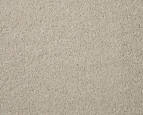 Apollo Elite Soft Alabaster Carpet - Soft Alabaster / 4m