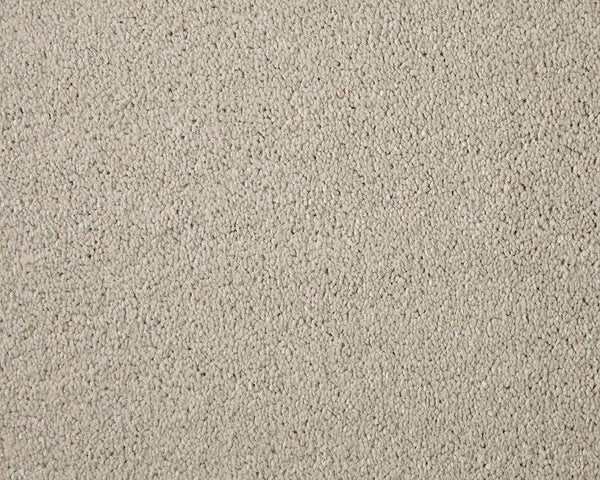Apollo Elite Soft Alabaster Carpet - Soft Alabaster / 4m