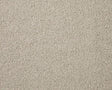 Apollo Elite Soft Alabaster Carpet - Soft Alabaster / 4m