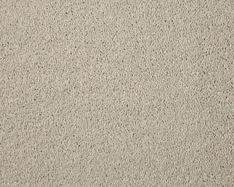 Apollo Elite Soft Alabaster Carpet - Soft Alabaster / 4m