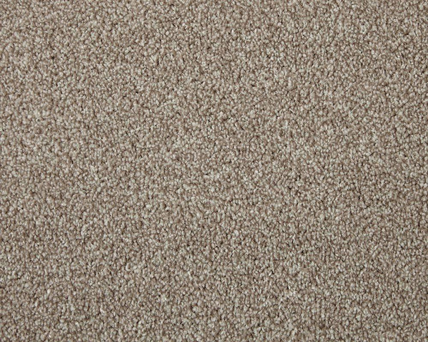 Apollo Elite Charente Beige Carpet - Charente Beige / 4m