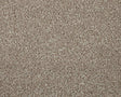 Apollo Elite Charente Beige Carpet - Charente Beige / 4m
