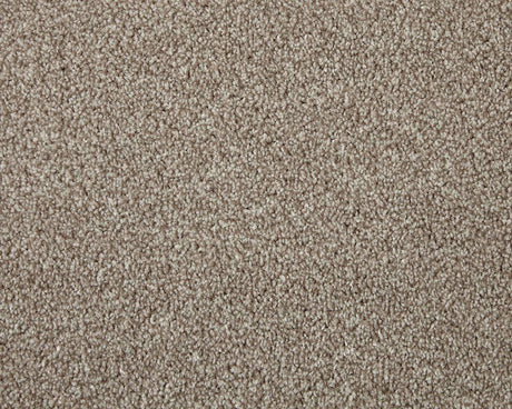 Apollo Elite Charente Beige Carpet - Charente Beige / 4m