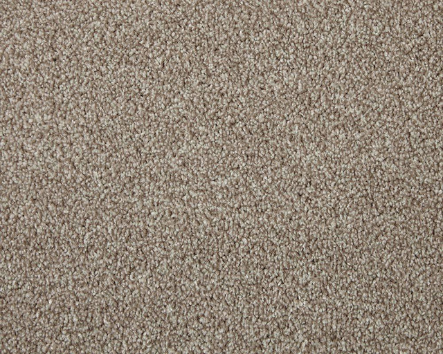 Apollo Elite Charente Beige Carpet - Charente Beige / 4m
