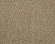Apollo Elite Helmsley Hazelnut Carpet - Helmsley Hazelnut / 4m