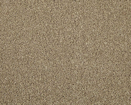 Apollo Elite Helmsley Hazelnut Carpet - Helmsley Hazelnut / 4m