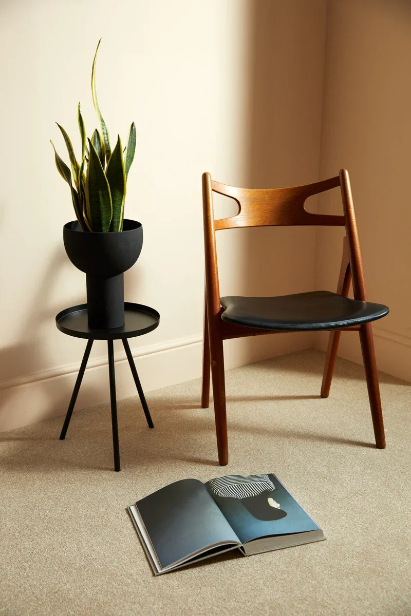 Kingston Caracal beige carpet with wooden chair, black plant stand, and open magazine