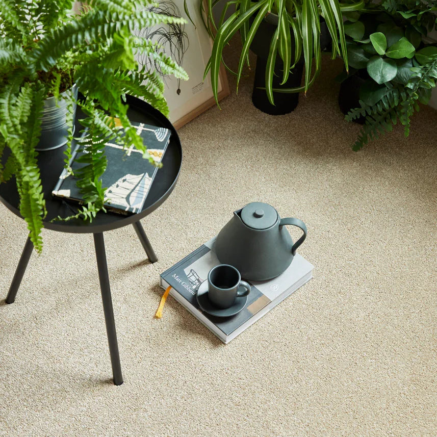 Beige carpet with soft texture styled with black teapot and cup on books, next to green plants