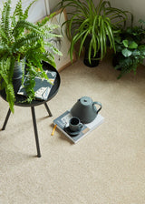 Beige carpet with soft texture styled with black teapot and cup on books, next to green plants