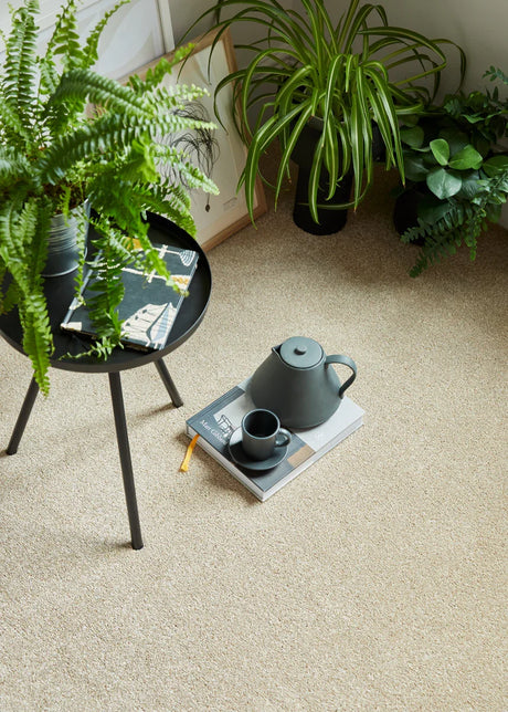 Beige carpet with soft texture styled with black teapot and cup on books, next to green plants